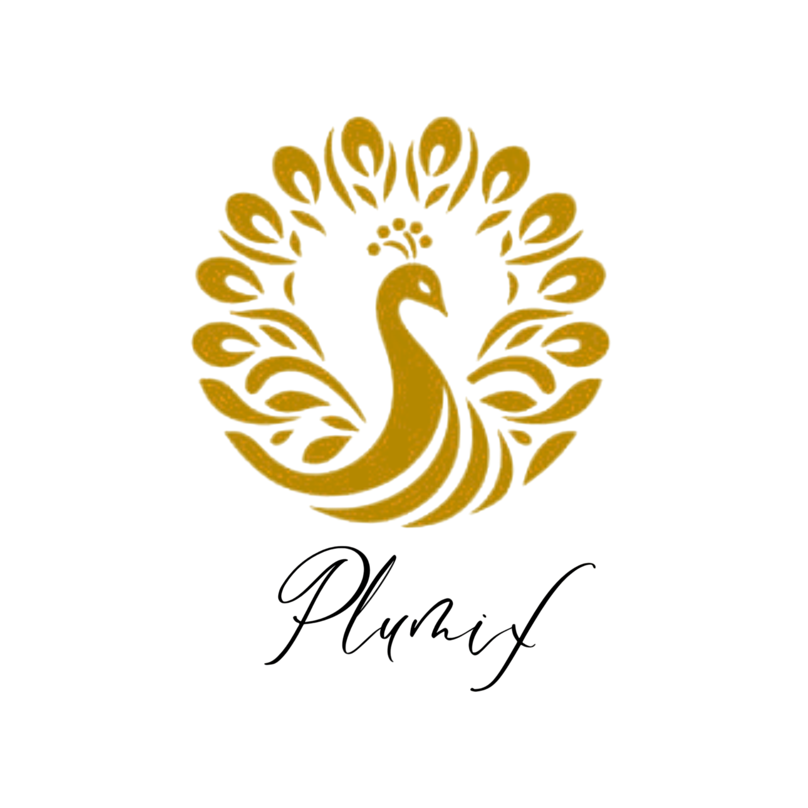 Logo PlumIX